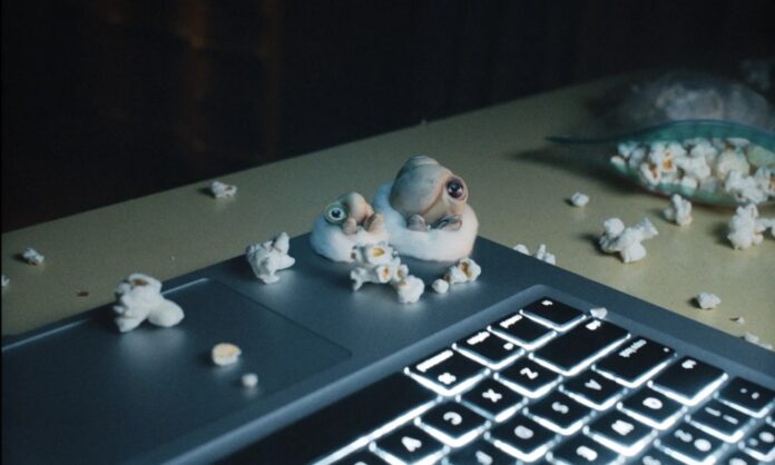 Marcel the Shell with Shoes On