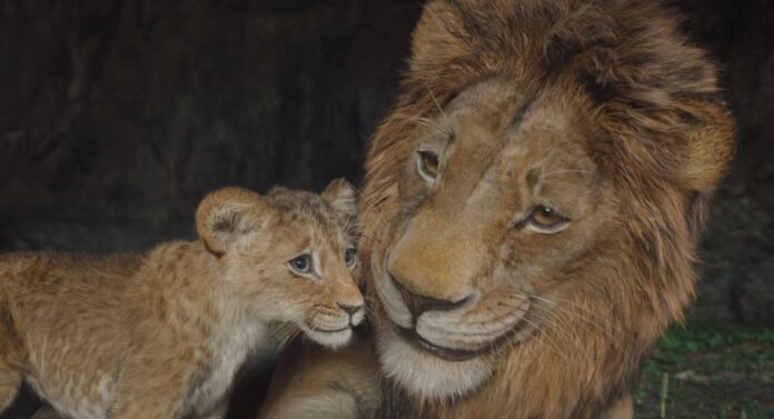 Mufasa: The Lion King [ © 2024 Disney Enterprises, Inc. All Rights Reserved.]