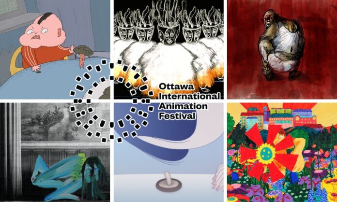OIAF shorts