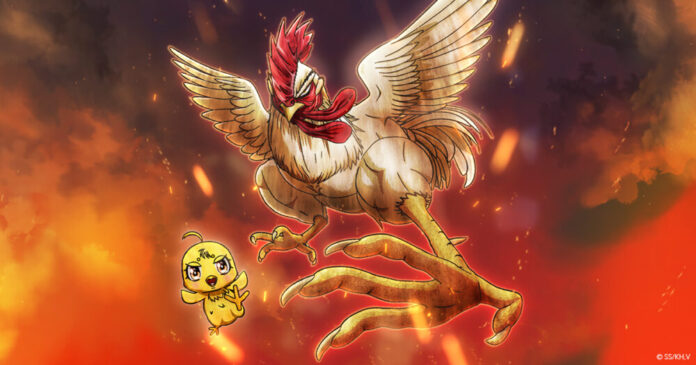 Rooster Fighter