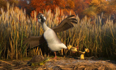 Duck Duck Goose
