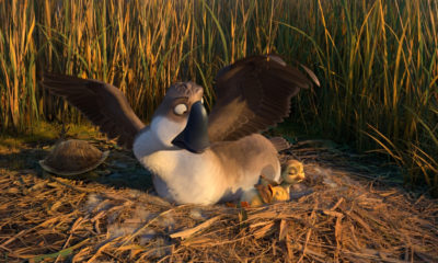 Duck Duck Goose