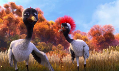 Duck Duck Goose