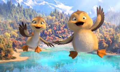 Duck Duck Goose