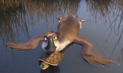 Duck Duck Goose