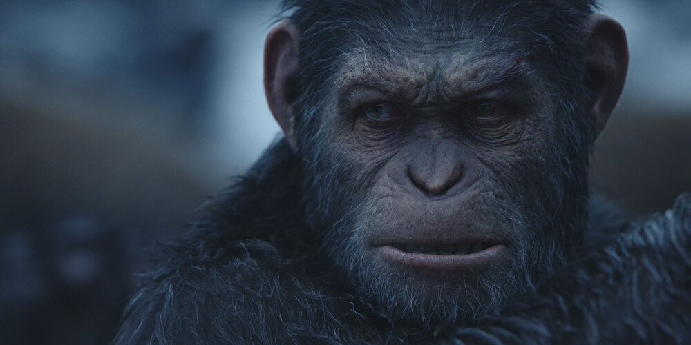 Planet of the Apes was created using Weta's proprietary WETAm toolset. 